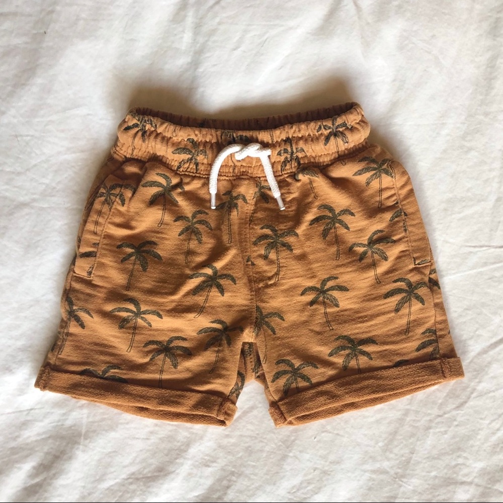 Palm Tree Shorts
